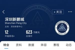 新鹏城夏窗汇总:英超旧将韦斯利加盟,卡尔采夫租借转正